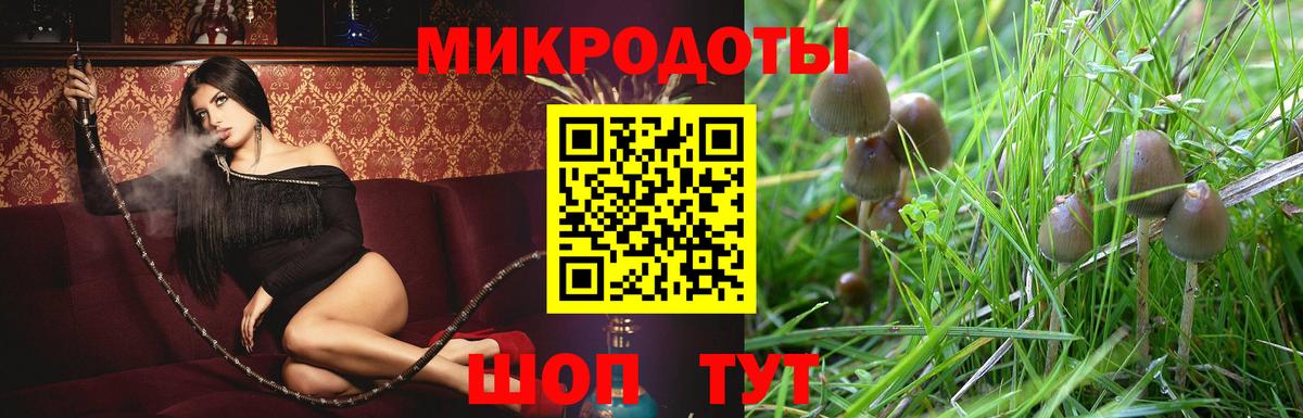 Галлюциногенные грибы мухоморы Кашира