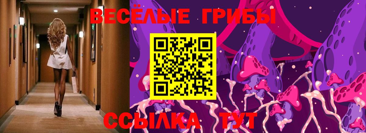 Кашира  Псилоцибиновые грибы мицелий  Вход с VPN 